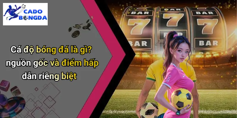 Cá Độ Bóng Đá