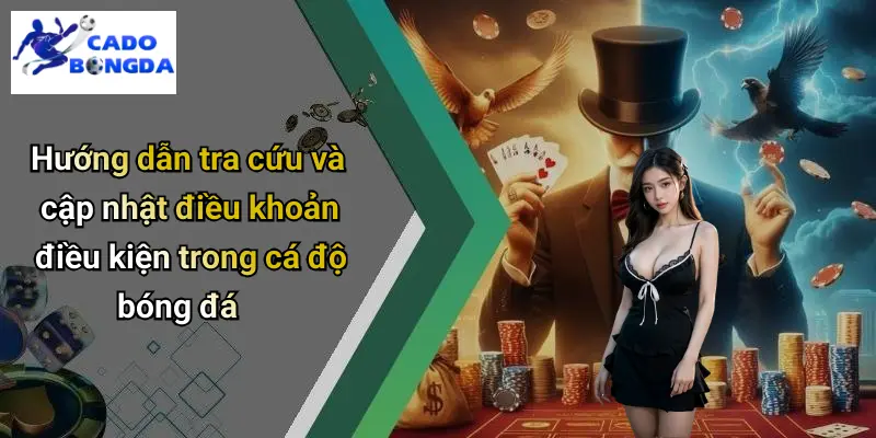 Điều Khoản Điều Kiện