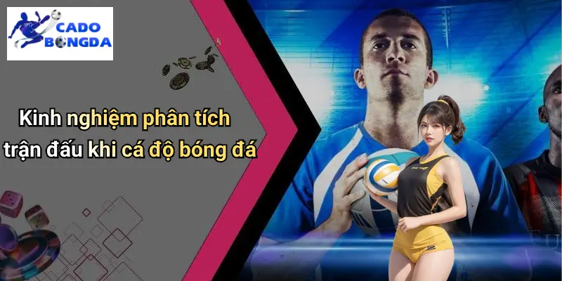 Cá Độ Bóng Đá