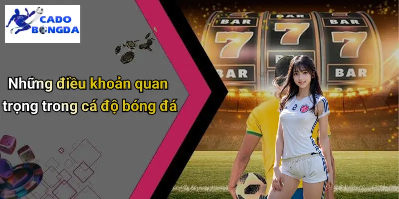 Điều Khoản Điều Kiện