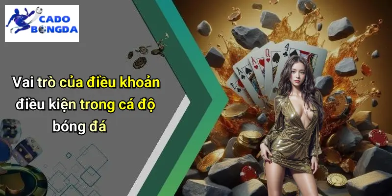 Điều Khoản Điều Kiện