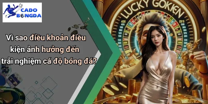 Điều Khoản Điều Kiện