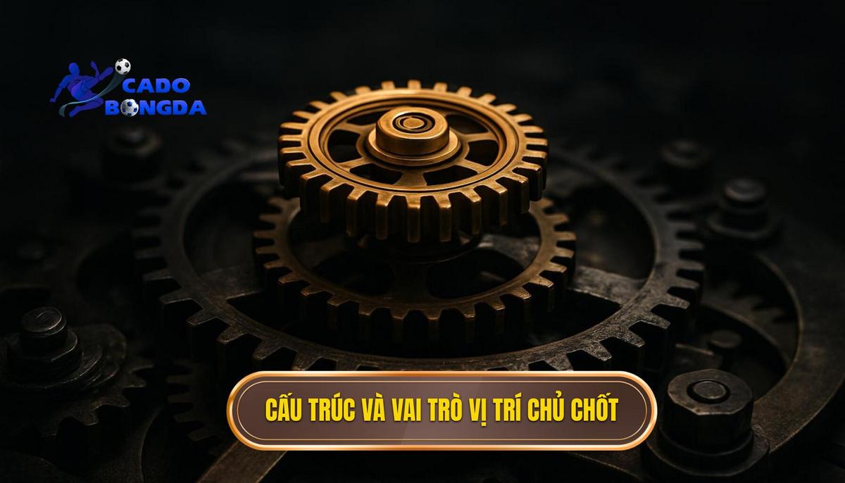 Cấu trúc vận hành và vai trò của các vị trí chủ chốt