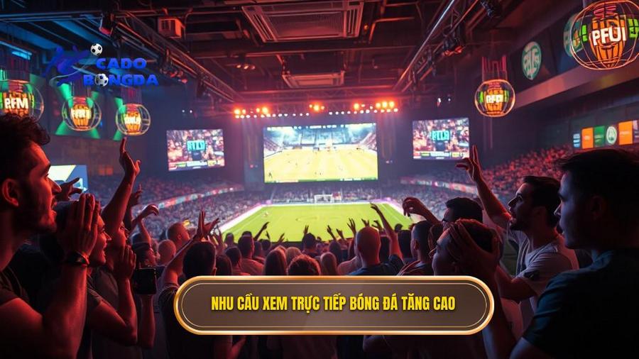 Tại sao nhu cầu xem trực tiếp bóng đá hôm nay ngày càng tăng cao?