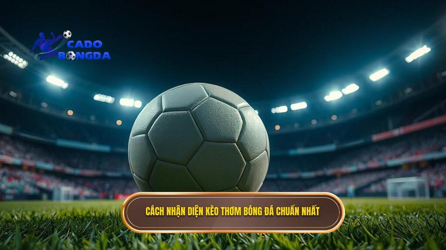 Cách nhận diện kèo thơm bóng đá tối nay cực chuẩn