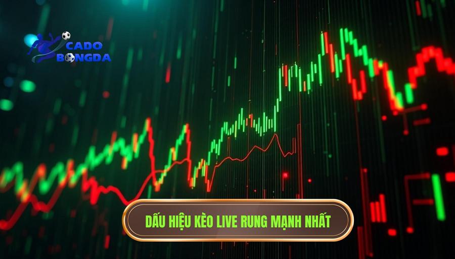 Kèo live bắt đầu rung mạnh: Nghệ thuật săn bàn thắng phút bù giờ 2 Dấu hiệu nhận biết Kèo live bắt đầu rung mạnh