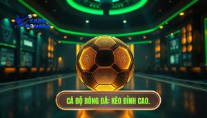 Kèo hôm nay không dành cho kẻ yếu tim