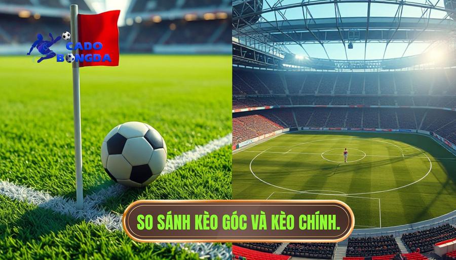 Kèo góc và kèo chính khác gì nhau? Phân tích chi tiết cho người mới 2 So sánh chi tiết: Kèo góc và kèo chính khác gì nhau?