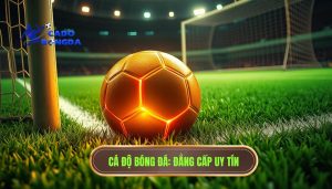 Kèo góc và kèo chính khác gì nhau? Phân tích chi tiết cho người mới