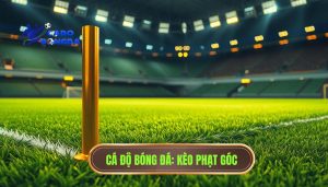Những lưu ý khi chơi kèo phạt góc: Cẩm nang từ chuyên gia theforresta.com