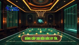 Đội bóng nào thường thắng kèo góc? Phân tích chuyên sâu từ chuyên gia theforresta.com